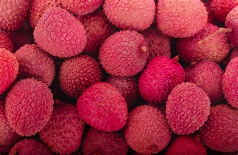How to Grow Lychee From Seed - Plant Growing & Trees Care Instructions