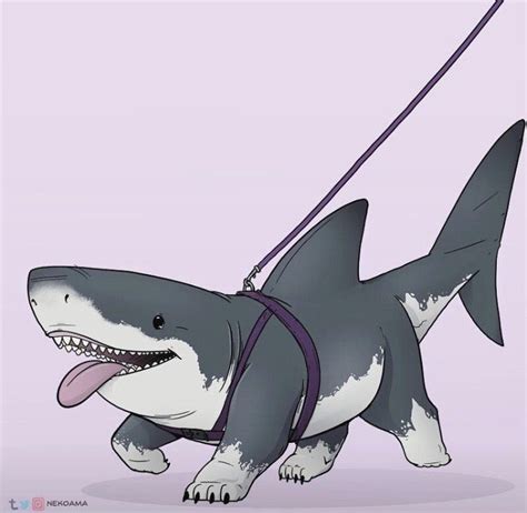 shark horse drawing