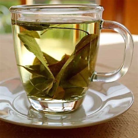 How to make Mate De Coca Recipe