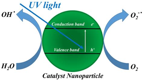 Chemical Vapor Deposition of Photocatalyst Nanoparticles on PVDF ...
