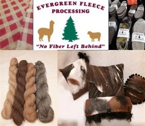 Evergreen Fleece Processing