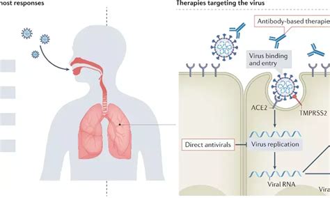 Paxlovid effective treatment in symptomatic pregnant women with SARS ...