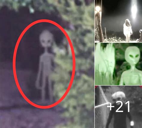Image result for Alien Eyewitness Accounts