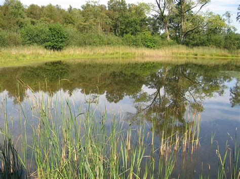 OpStap excursie over de historie van het Boetelerveld, Ingang ...