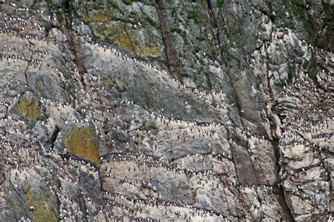 Du Vanuatu à l'île Macquarie, en Alaska, au Vietnam, au Groenland ...