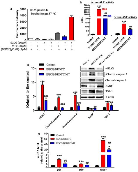 Antioxidant and Pro-Oxidant Activities of Melatonin in the Presence of ...