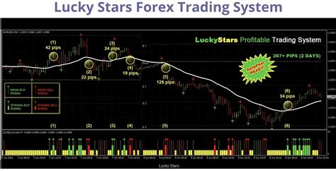 bingo101 lucky stars