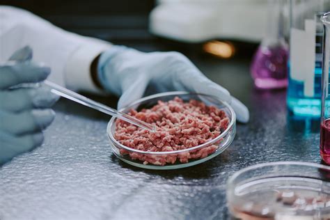 Lab-Grown Meat Bans in 2025: Which States Are Restricting Cultivated ...