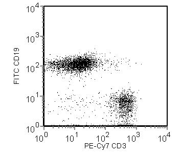 PE-Cy™7 Rat Anti-Mouse CD3 Molecular Complex