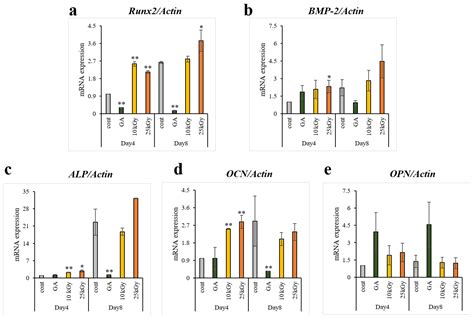 Effect of Titanium Implants Coated with Radiation-Crosslinked Collagen ...