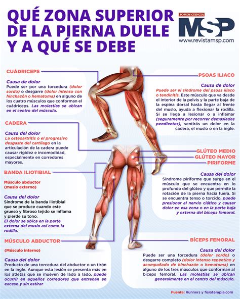 Qué zona superior de la pierna duele y a qué se debe - Infografía