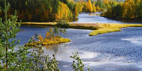 Kalevala Tourism (2022): Best of Kalevala, Russia - Tripadvisor