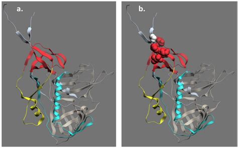 Viruses | Special Issue : Viral Glycoprotein Structure