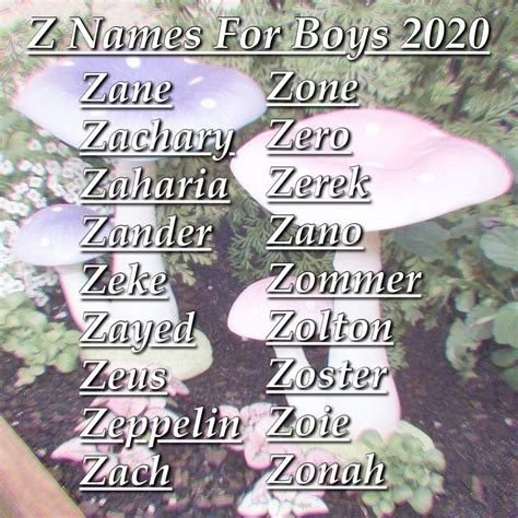 Z names for boys 2020 – Artofit