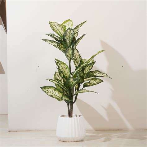 The Abundant Beginnings - Artificial Dieffenbachia Plant - 4 Feet Tall ...