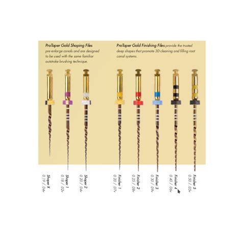 Image result for Pro Taper Gold Tutorial