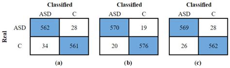 Supporting ASD Diagnosis with EEG, ML and Swarm Intelligence: Early ...