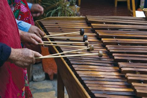 Everything You Need to Know About the Top Marimba Solos Performances ...