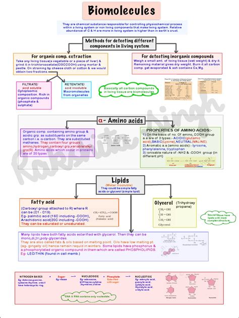 Biochemistry MindMap 的图像结果