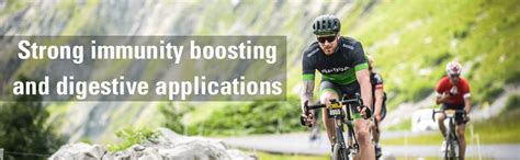 Herbal Hills Moringa Oliefera Tablets | Moringa Tablet | Moringa Leaf ...