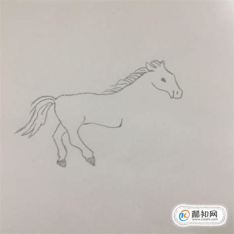 马的图片简单,马的图片写实,马的图片绘画_大山谷图库
