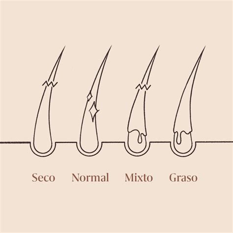 Descubre cómo identificar y cuidar adecuadamente tu tipo de cabello