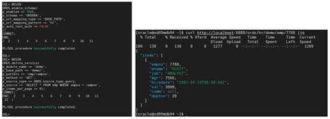 Oracle 12C Restful Tutorial 的图像结果