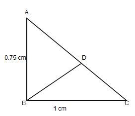 MCQ Class 10 Triangles Set II