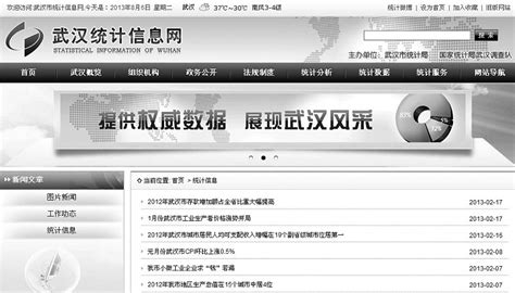 武汉多个政府部门官网休眠 头条是2010年旧闻-搜狐新闻
