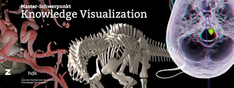 Master Visualization 的图像结果