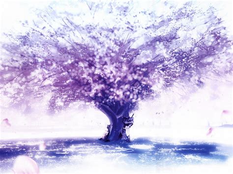 樱花树下的的美女图片壁纸_电脑主题下载站