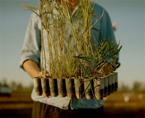 Country Road Backs Climate Action & Announces $1.5 Million Climate Fund - B&T