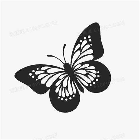 条纹黑蝴蝶图片