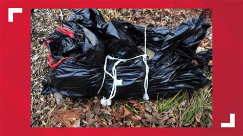 Image result for Exploding Plastic Body Bag