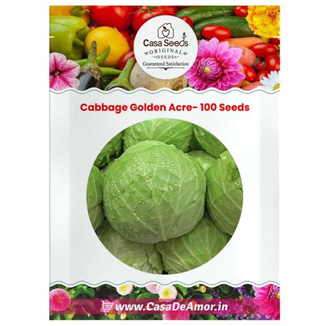 Cabbage Golden Acre- 100 Seeds – Casa De Amor