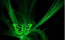 Neon Green Wallpaper by Neon Green Wallpapers Wallpaper Cave Neon Green Wallpaper