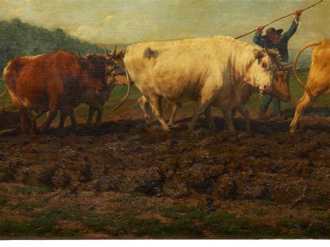 Ploughing In The Nivernais