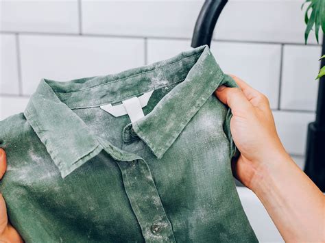 How to Remove Mold From Clothes and Fabric Effectively?