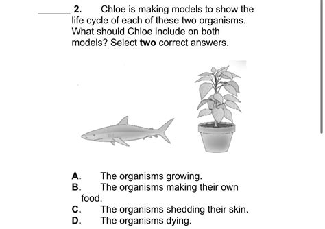 Life cycle Chloe is making models to show the life cycle of each of ...