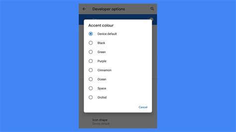 Android 10 Tutorial 的图像结果
