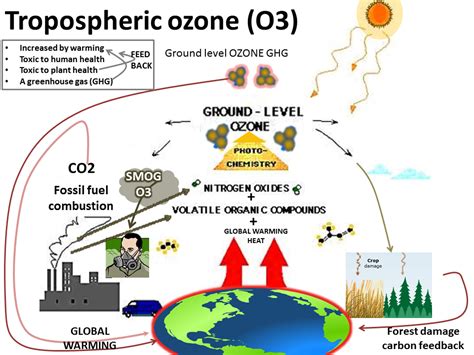 Image result for Ozone Formation