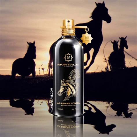 Montale Arabian Tonka Eau De Parfum For Unisex – FridayCharm.com