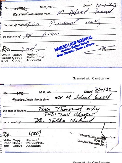 Sample Lab Test Invoice 的图像结果