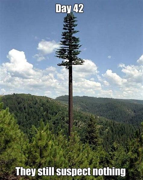 Image result for Computer Science Tree Example