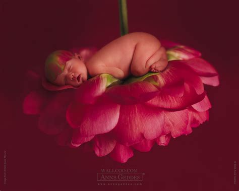 🔥 [50+] Anne Geddes Fall Wallpapers | WallpaperSafari