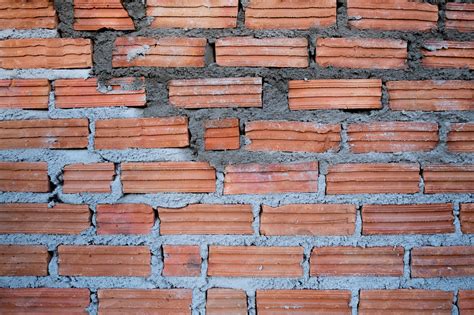 Image result for Brick Color Randomizer Script
