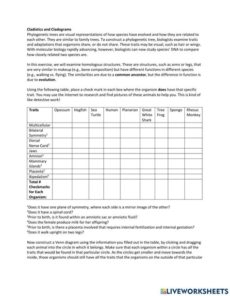 Image result for Cladogram Practice Worksheet