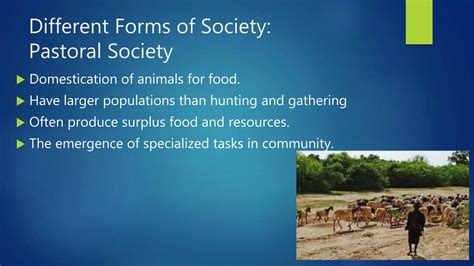 Example of Society Forms 的图像结果