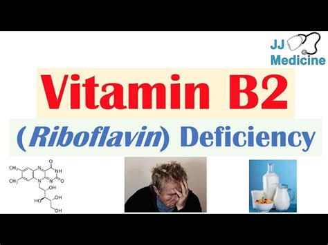 Pharma - Hydroxypropyl Beta Cyclodextrin Hpbcd Trader - Retailer from ...