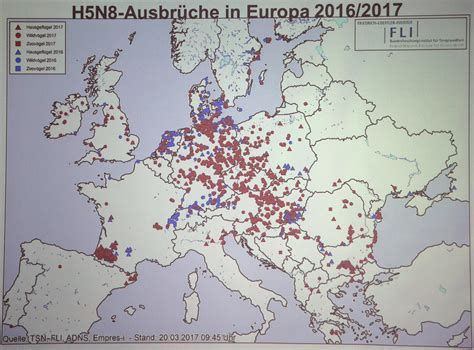 FLI: Überträger der Geflügelpest sind eindeutig Wildvögel | agrarheute.com